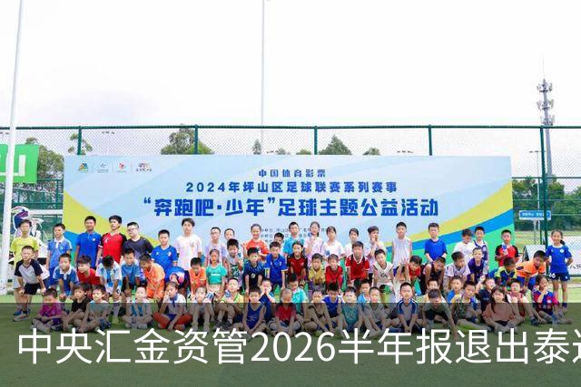 中央汇金资管2026半年报退出泰达股份前十大股东名单