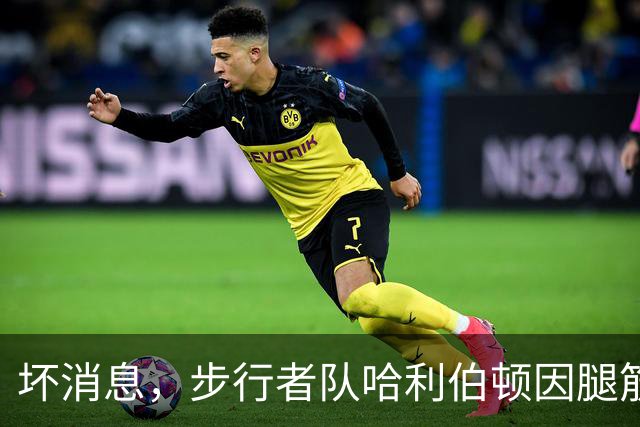 坏消息，步行者队哈利伯顿因腿筋拉伤预计将缺席一段时间