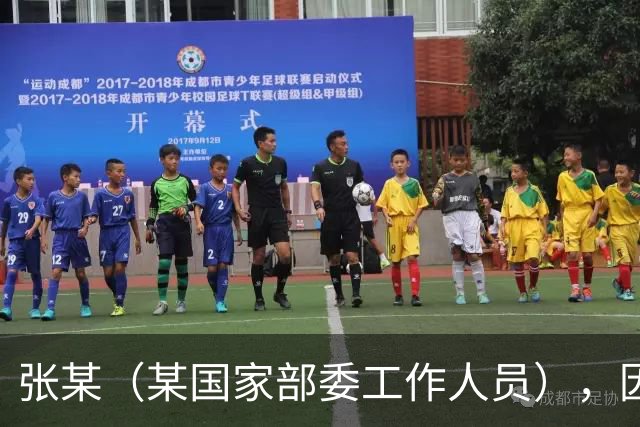 张某（某国家部委工作人员），因个人矛盾投靠境外间谍情报机关，违规下载、拍摄、拷贝涉密文件并秘密录音，窃取近30万份，12人失职被处分