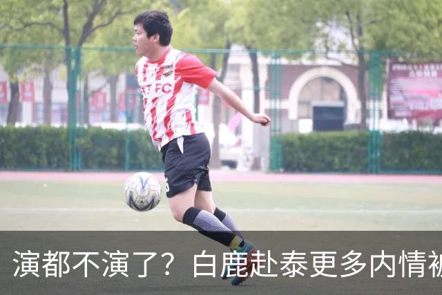 演都不演了？白鹿赴泰更多内情被扒，众星被连带，难怪不取消活动