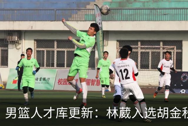 男篮人才库更新：林葳入选胡金秋付豪位置变更