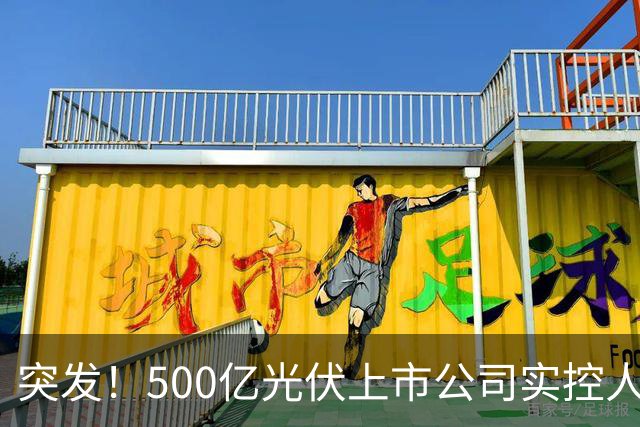 突发！500亿光伏上市公司实控人被批捕
