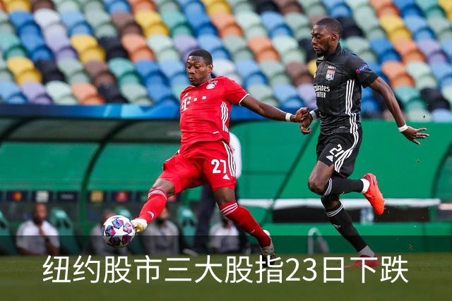 纽约股市三大股指23日下跌