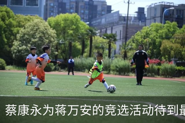 蔡康永为蒋万安的竞选活动待到最后，称赞活动很成功