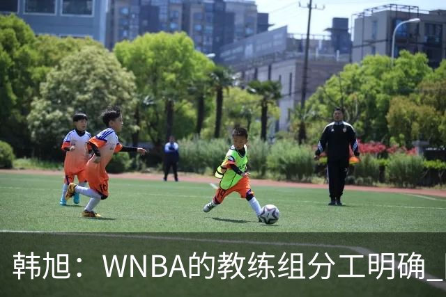 韩旭：WNBA的教练组分工明确 国内基本就是一个主教练+两个助教