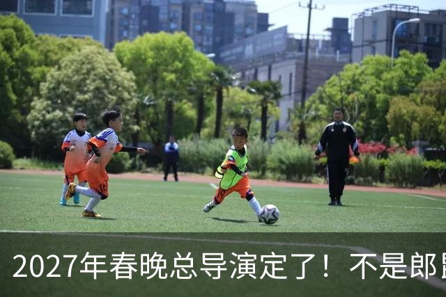 2027年春晚总导演定了！不是郎昆，也不是哈文，而是刚获好评的她